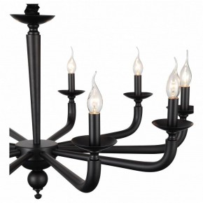 Подвесная люстра ST-Luce SL1114 SL1114.403.10 в Екатеринбурге - mebel24.online | фото 4