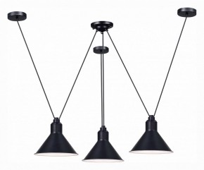 Подвесная люстра ST-Luce Svevo SL1804.403.03 в Екатеринбурге - mebel24.online | фото 2