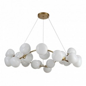 Подвесная люстра ST-Luce Sweven SL1519.303.24 в Екатеринбурге - mebel24.online | фото 2