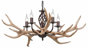 Подвесная люстра Vitaluce  V1491/5 в Екатеринбурге - mebel24.online | фото