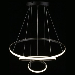 Подвесной светильник Aployt Janina APL.018.03.60 в Екатеринбурге - mebel24.online | фото 12