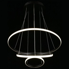 Подвесной светильник Aployt Janina APL.018.03.60 в Екатеринбурге - mebel24.online | фото 7
