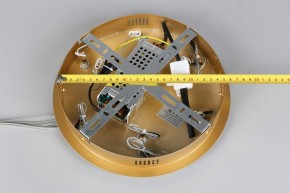 Подвесной светильник Aployt Janina APL.018.13.60 в Екатеринбурге - mebel24.online | фото 11