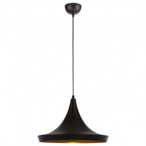 Подвесной светильник Arte Lamp Capello A3406SP-1BK в Екатеринбурге - mebel24.online | фото 2