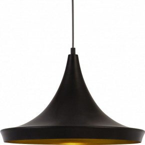 Подвесной светильник Arte Lamp Capello A3406SP-1BK в Екатеринбурге - mebel24.online | фото 3
