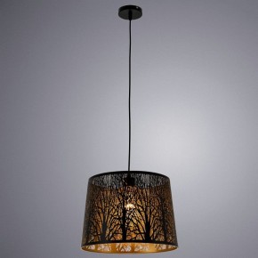 Подвесной светильник Arte Lamp Celesta A2769SP-1BK в Екатеринбурге - mebel24.online | фото 3