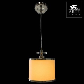 Подвесной светильник Arte Lamp Furore A3990SP-1CC в Екатеринбурге - mebel24.online | фото 3