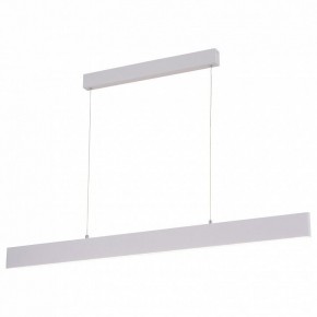 Подвесной светильник Arte Lamp Largo A2505SP-2WH в Екатеринбурге - mebel24.online | фото 2