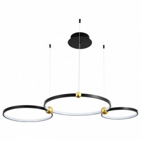 Подвесной светильник Divinare Amadeo 1123/04 SP-75 в Екатеринбурге - mebel24.online | фото
