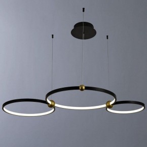 Подвесной светильник Divinare Amadeo 1123/04 SP-75 в Екатеринбурге - mebel24.online | фото 2