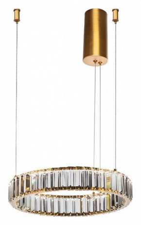Подвесной светильник Divinare Renata 1135/17 SP-25 в Екатеринбурге - mebel24.online | фото 2
