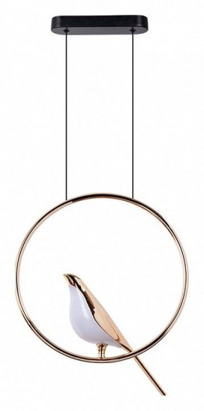 Подвесной светильник Divinare Summer 1188/01 SP-9 в Екатеринбурге - mebel24.online | фото 2