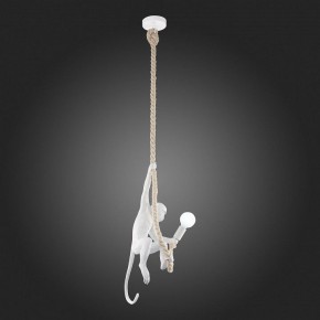Подвесной светильник EVOLUCE Tenato SLE115103-01 в Екатеринбурге - mebel24.online | фото 4