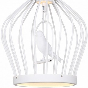 Подвесной светильник Favourite Chick 1931-2P в Екатеринбурге - mebel24.online | фото 3
