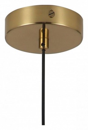 Подвесной светильник Favourite Copita 2777-1P в Екатеринбурге - mebel24.online | фото 5