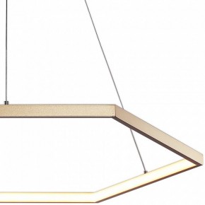 Подвесной светильник Favourite Hexagon 2103-6P в Екатеринбурге - mebel24.online | фото 3