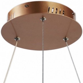Подвесной светильник Favourite Hexagon 2103-6P в Екатеринбурге - mebel24.online | фото 4