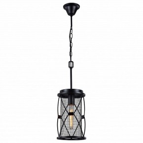 Подвесной светильник Favourite Mesh 1783-1P в Екатеринбурге - mebel24.online | фото 2