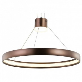 Подвесной светильник Favourite Saturn 2102-2P в Екатеринбурге - mebel24.online | фото 1