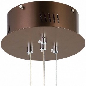 Подвесной светильник Favourite Saturn 2102-2P в Екатеринбурге - mebel24.online | фото 5