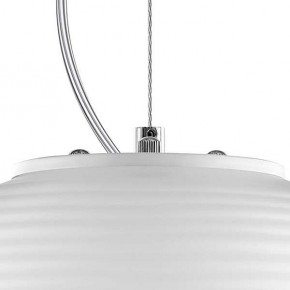 Подвесной светильник Lightstar Arnia 805011 в Екатеринбурге - mebel24.online | фото 6