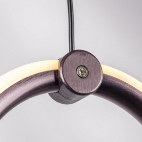 Подвесной светильник Lightstar Caramello 796169 в Екатеринбурге - mebel24.online | фото 10