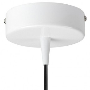 Подвесной светильник Lightstar Conicita 804110 в Екатеринбурге - mebel24.online | фото 6