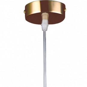 Подвесной светильник Lightstar Cristallo 795422 в Екатеринбурге - mebel24.online | фото 5
