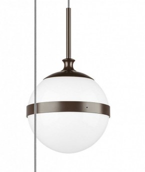 Подвесной светильник Lightstar Globo 813137 в Екатеринбурге - mebel24.online | фото 5