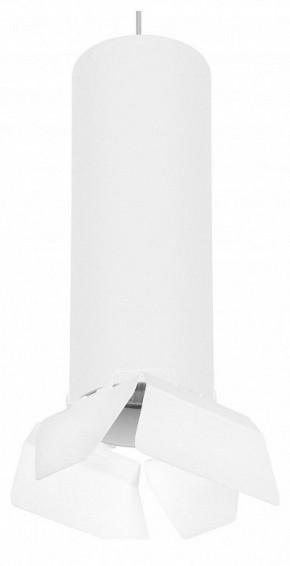 Подвесной светильник Lightstar Rullo RP6496486 в Екатеринбурге - mebel24.online | фото 1