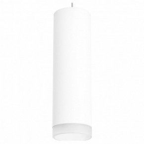 Подвесной светильник Lightstar Rullo RP649680 в Екатеринбурге - mebel24.online | фото 2