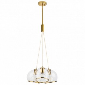 Подвесной светильник Lightstar Sferico 729031 в Екатеринбурге - mebel24.online | фото 2