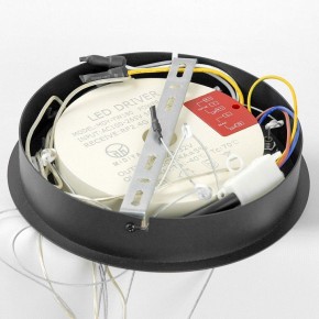 Подвесной светильник Lussole Hale LSP-7380 в Екатеринбурге - mebel24.online | фото 6
