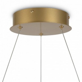 Подвесной светильник Maytoni Halo MOD100PL-L88BSK1 в Екатеринбурге - mebel24.online | фото 6