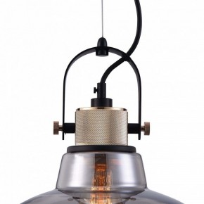 Подвесной светильник Maytoni Irving T163PL-01C в Екатеринбурге - mebel24.online | фото 9