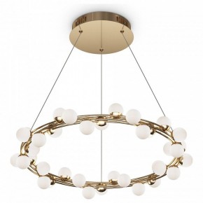 Подвесной светильник Maytoni Tessara MOD081PL-L50G3K в Екатеринбурге - mebel24.online | фото 2