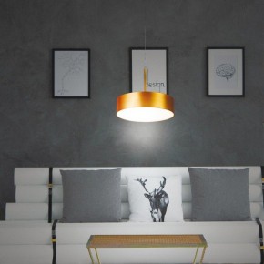 Подвесной светильник Novotech Prometa 358763 в Екатеринбурге - mebel24.online | фото 5