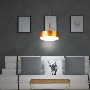 Подвесной светильник Novotech Prometa 358766 в Екатеринбурге - mebel24.online | фото 4