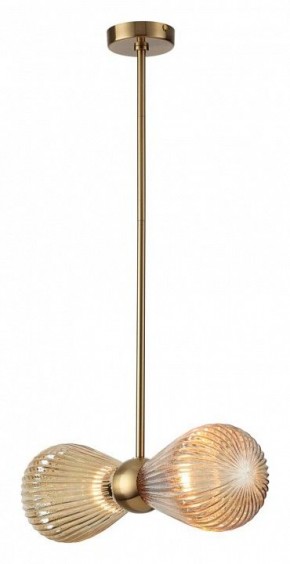 Подвесной светильник Odeon Light Elica 5402/2 в Екатеринбурге - mebel24.online | фото 2