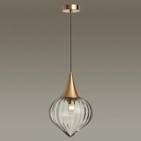 Подвесной светильник Odeon Light Kesta 4950/1 в Екатеринбурге - mebel24.online | фото 2