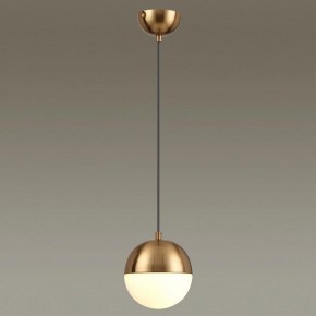 Подвесной светильник Odeon Light Pinga 4960/1 в Екатеринбурге - mebel24.online | фото 2