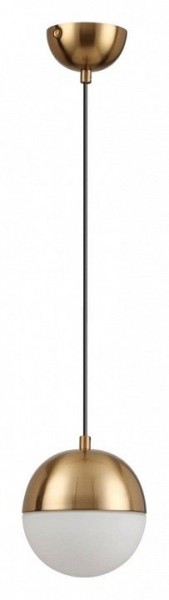 Подвесной светильник Odeon Light Pinga 4960/1 в Екатеринбурге - mebel24.online | фото 3