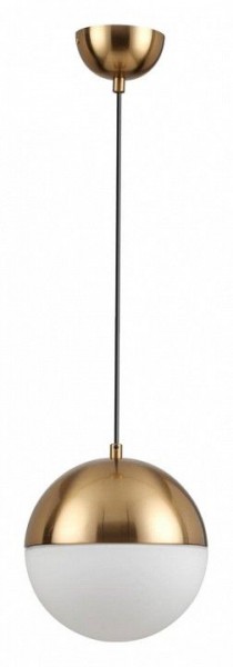 Подвесной светильник Odeon Light Pinga 4960/1A в Екатеринбурге - mebel24.online | фото 3