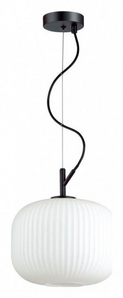 Подвесной светильник Odeon Light Roofi 4753/1 в Екатеринбурге - mebel24.online | фото 2