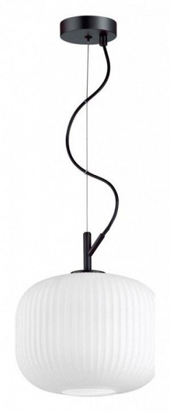 Подвесной светильник Odeon Light Roofi 4753/1 в Екатеринбурге - mebel24.online | фото 3