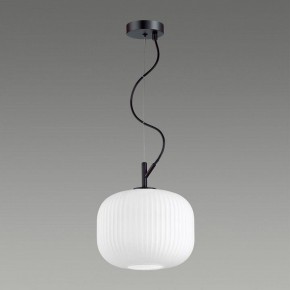 Подвесной светильник Odeon Light Roofi 4753/1 в Екатеринбурге - mebel24.online | фото 4