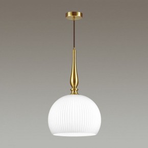 Подвесной светильник Odeon Light Runga 4765/1 в Екатеринбурге - mebel24.online | фото 4