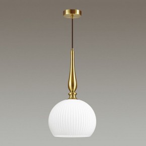 Подвесной светильник Odeon Light Runga 4766/1 в Екатеринбурге - mebel24.online | фото 4