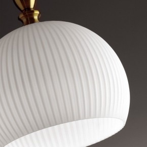 Подвесной светильник Odeon Light Runga 4766/1 в Екатеринбурге - mebel24.online | фото 8