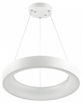 Подвесной светильник Odeon Light Sole 4066/50L в Екатеринбурге - mebel24.online | фото 2